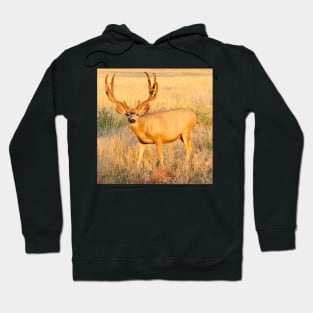 Buck Hoodie